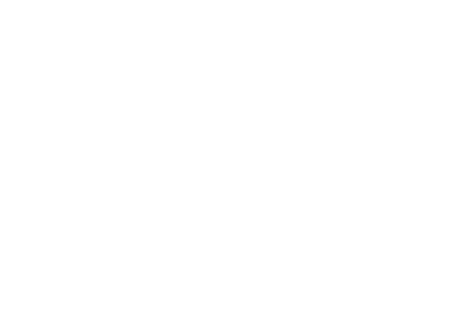 Logo NH Overland